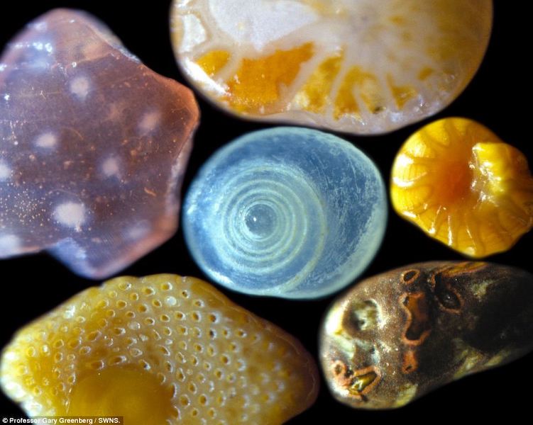 sand grains under a microscope